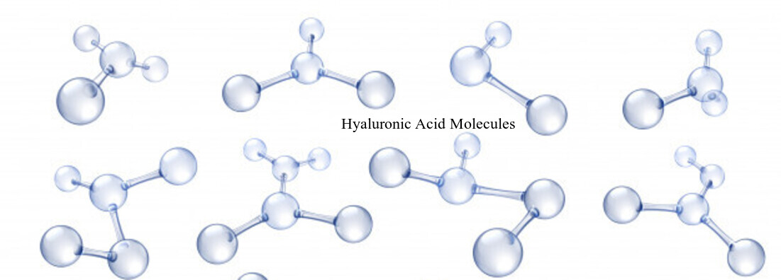 Hyaluronic Acid Molecules